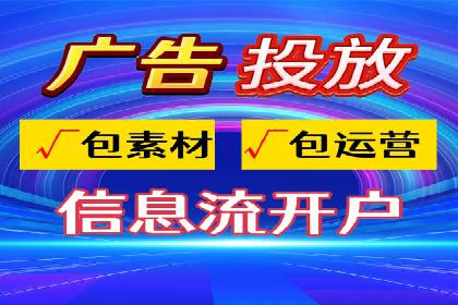 某企业SEM广告投放的ROI提升策略及效果展示